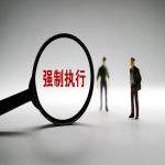 执行程序中律师有哪些作用