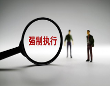执行程序中律师有哪些作用