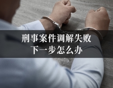 刑事案件调解失败，下一步怎么办？法律救...