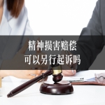 精神损害赔偿可以另行起诉吗