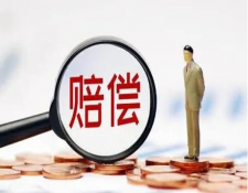 2024年人身损害赔偿计算标准