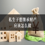 私生子想继承财产应该怎么做