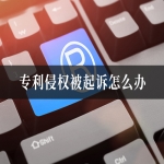 专利侵权被起诉怎么办
