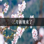 三月新规大放送！个税汇算、医疗缴费、车检新规全解析