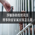 涉嫌协助组织卖淫刑事拘留家属应该怎么做