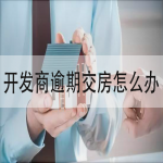 开发商逾期交房,业主该怎么办