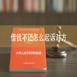 借钱不还怎么起诉对方