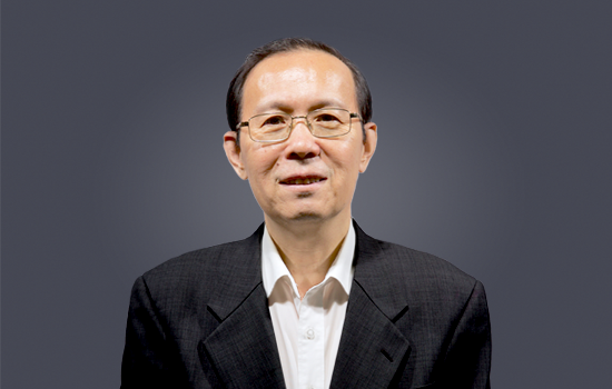 隋彭生教授