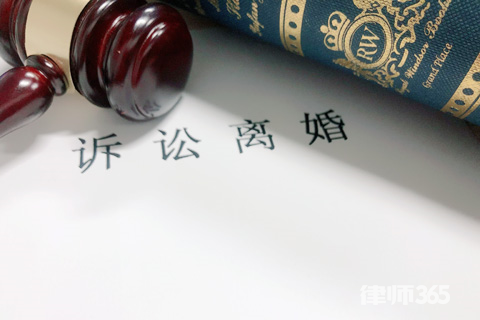 诉讼离婚