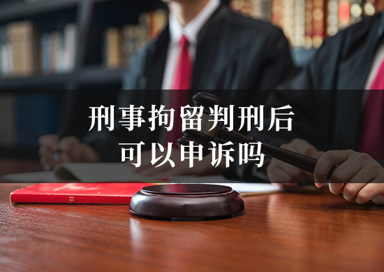 刑事拘留判刑后可以申诉吗
