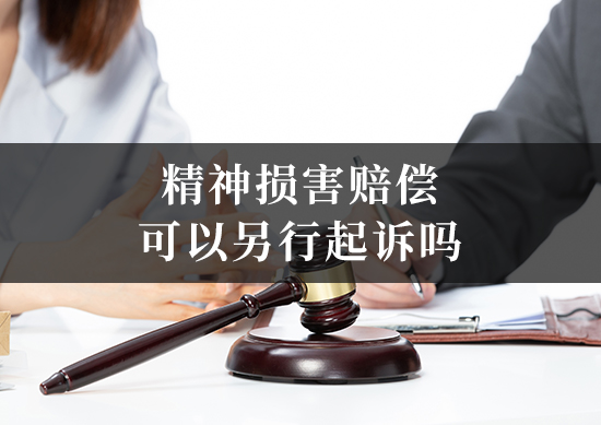 精神损害赔偿可以另行起诉吗