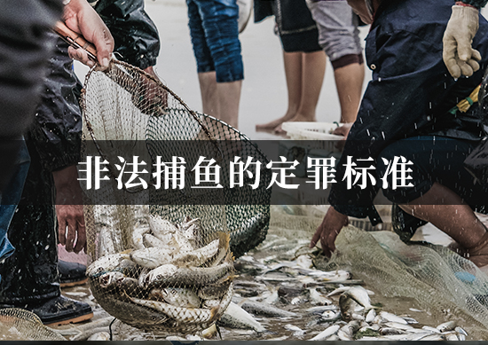 非法捕鱼的定罪标准
