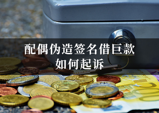 配偶伪造签名借巨款如何起诉