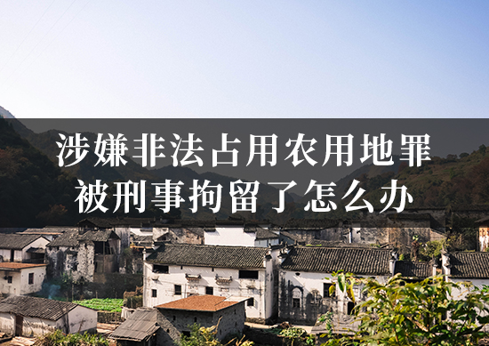 涉嫌非法占用农用地罪被刑事拘留了怎么办