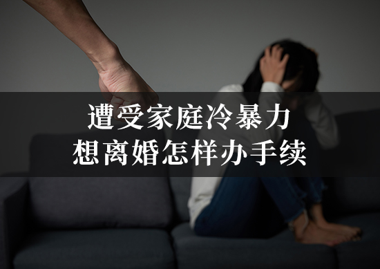 遭受家庭冷暴力想离婚怎样办手续