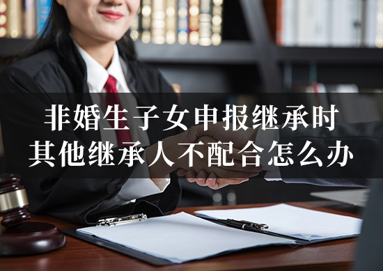 非婚生子女申报继承时,其他继承人不配合怎么办?律师教您诉讼! (2) 非婚生子女申报继承时,其他继承人不配合怎么办?律师教您诉讼! (2)