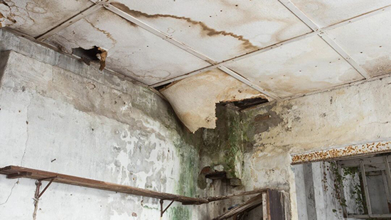 案件详情 案件详情