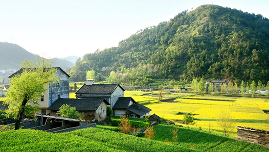 TOP9：宅基地边界纠纷，邻里占用自家宅基地该怎么办？